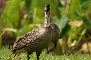 You Looking at Me? 