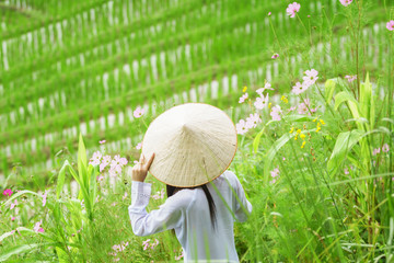 vietnamese lady looking flower in rice farm