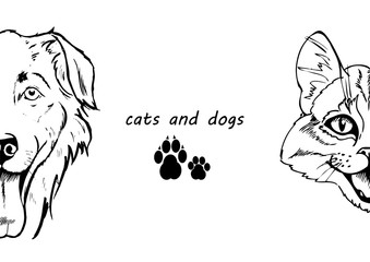 pet, portrait of dog and cat, template for advertising, bills, ads, black and white vector illustration