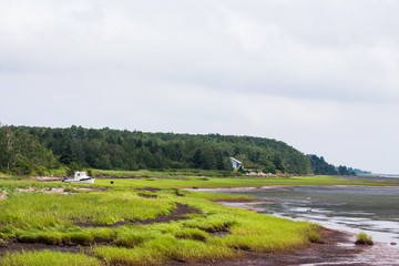 Low Tide of Nova Scotia