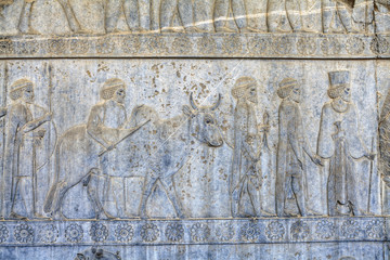 Relief depicting procession in Apadana from Darius Palace, Persepolis, Iran.