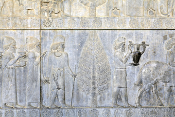 Persepolis ancient capital of Achaemenid empire, bas-relief on wall, Iran.