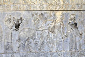 Tribute bearers bas-relief in Apadana Palace, Fars Province, Persepolis, Iran.