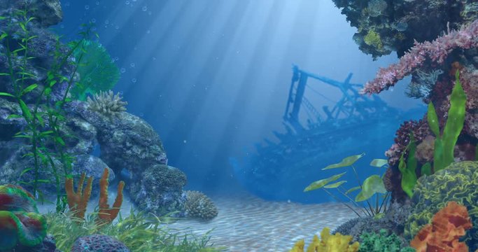Ocean Reef Shipwreck