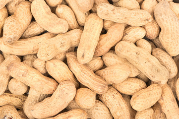 Peanuts in shell