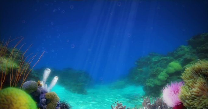 Sandy Ocean Reef Background