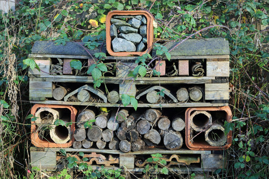 Bug Hotel