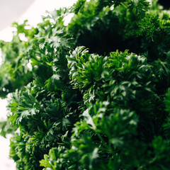 A lot of useful parsley on a light background