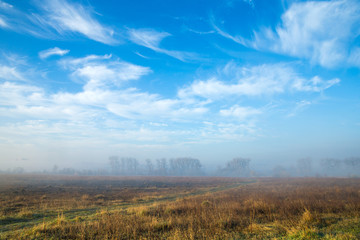 thick morning fog in the summer field