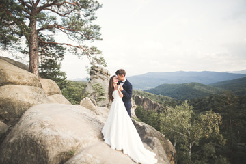 Wedding couple in love kissing and hugging near rocks on beautiful landscape