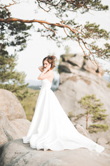 Fototapeta na wymiar Beautiful bride posing near rocks against background the mountains