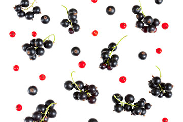 berries of black currant and red currant  isolated on white background