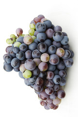 Grapes