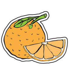 whole orange and hunk of fruit, vector image, flat design, hand drawing, color sticker