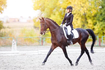 Draagtas Equestrian sport event at fall with copy space. Young woman riding bay horse on dressage advanced test © skumer