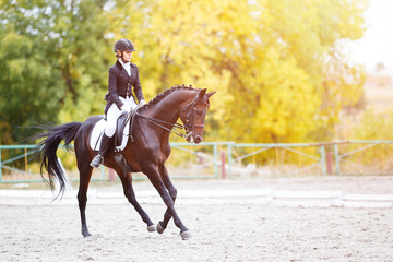Young rider woman on bay horse performing advanced test on dressage competition. Equestrian event...