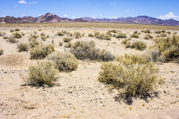 Death Valley National Park, a desert valley located in Eastern California and one of the hottest places in the world