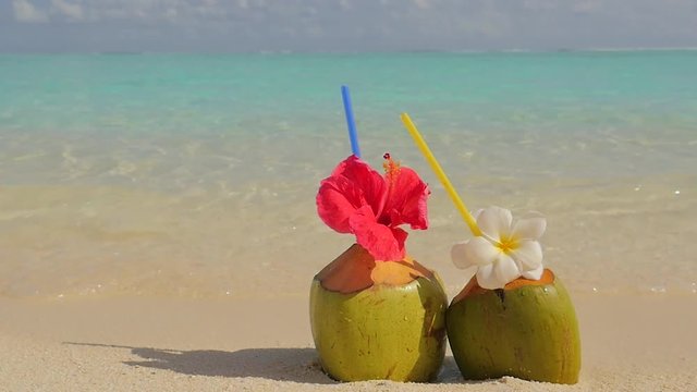 Tropical fresh coconut cocktail on white beach. Two coconut drinks on luxury tropical resort in Maldives island. Fresh green coconut cocktails on sandy Maldives beach with turquoise sea background.