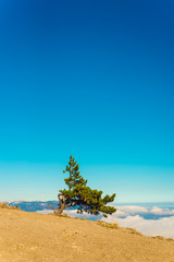 Ai Petri Mountain in the Crimea