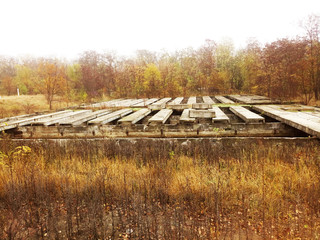 Autumn landscape on the ruins of an old factory, yellow trees and foliage