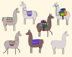Set of llamas with patterned saddles, traditional decorative rugs and trekking packs in a hand drawn doodle style