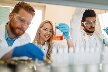 Obraz premium Group of chemistry students working in laboratory