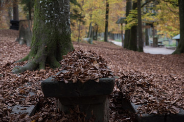 park bench in autumn