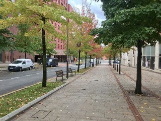 Street