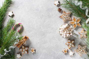 Christmas background with festive decoration, gingerbread, cup of cocoa and branch of fir