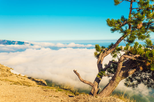 Ai Petri Mountain in the Crimea