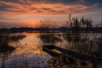 Jesienny poranek nad Narwią