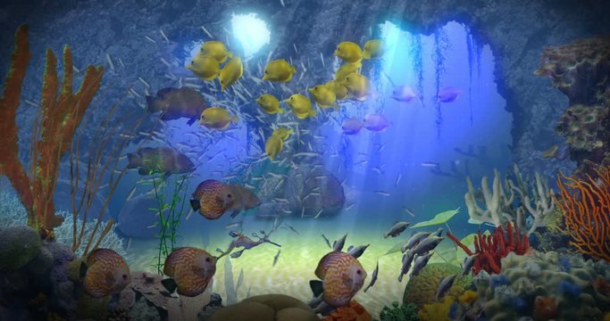 Underwater Paradise