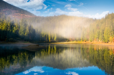 Fototapeta premium lake in spruce forest at foggy sunrise. gorgeous autumn landscape in Carpathian mountains