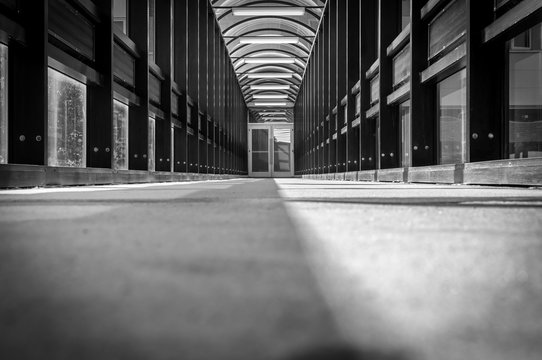 Glass and steel long walkway with abstract view. Black and white image of  industrial steel hallway. Abstract architectural detail and design. Glass roof design in modern building. 