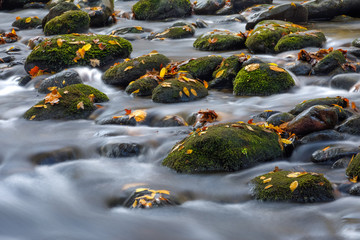 Stream in Fall