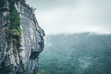 Mountainside with tree foliage and mist. Misty moutain range. Clouds over mountain. Rock climbing mountain side.