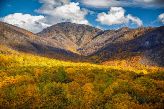 Smokey Mountains In Fall