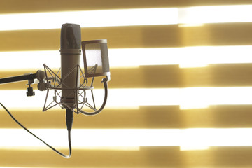 professional microphone in an audio  studio recording