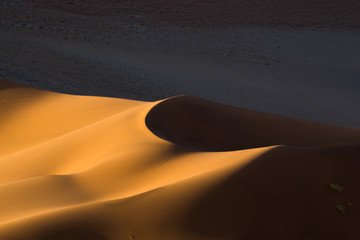 Sunlight on a dune