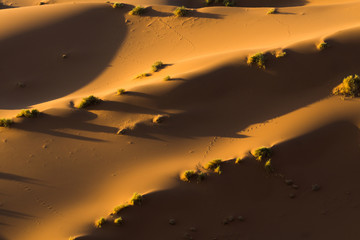 Shadows in the dune