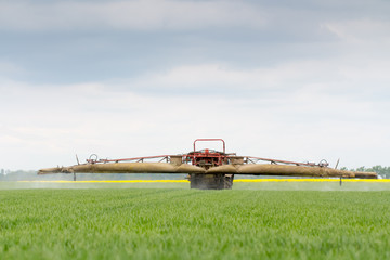 Chemical defense against crustaceans, mushroom insects