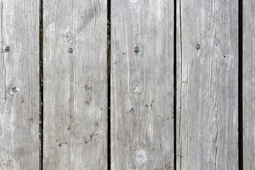 Fototapeta premium The old wood texture with natural patterns