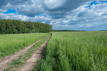 Road in countryside fields