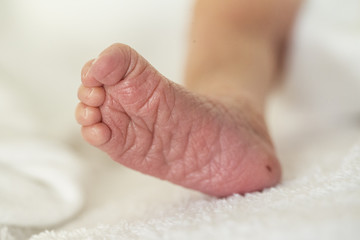 Fuß eines neugebohrenen Säuglings