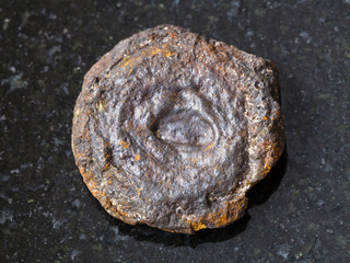 Fototapeta premium rough lake iron ore coin type (limonite) on dark