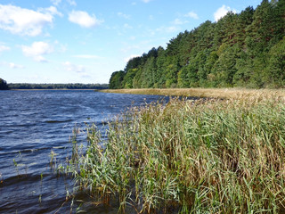 View of the lake in the sunny day