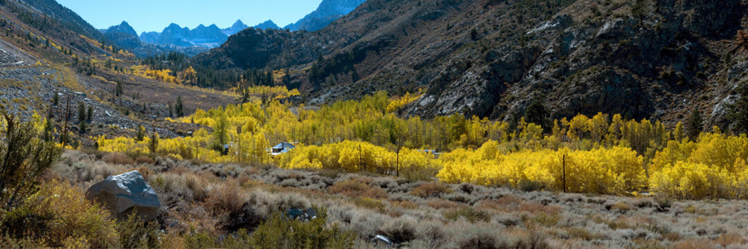 Aspendell Fall Color