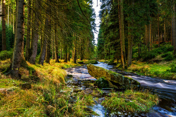 Blackwater Valley in Autumn