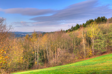 Obraz premium Erz Mountains in Autumn