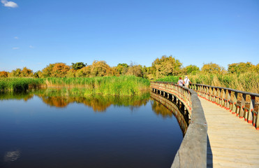 Tablas de Daimiel National Park, Castilla la Mancha, Spain